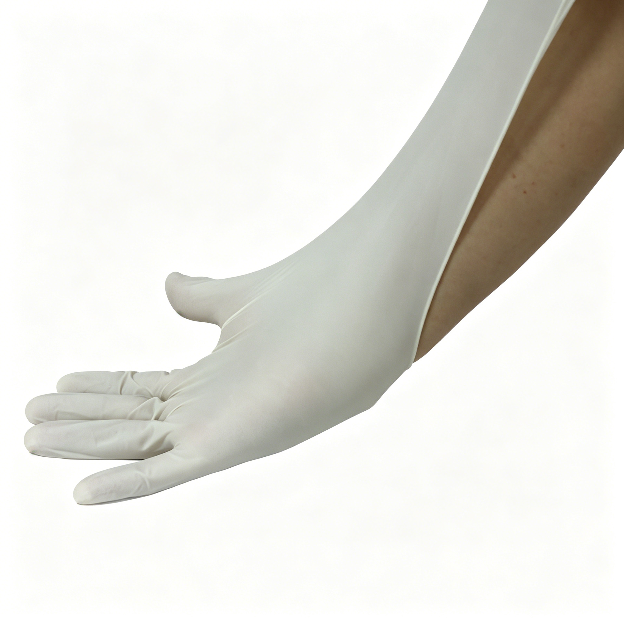 Disposable medical rubber exam - Latex Disposable Glove ulasan dan harga